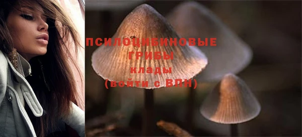 амф Абинск
